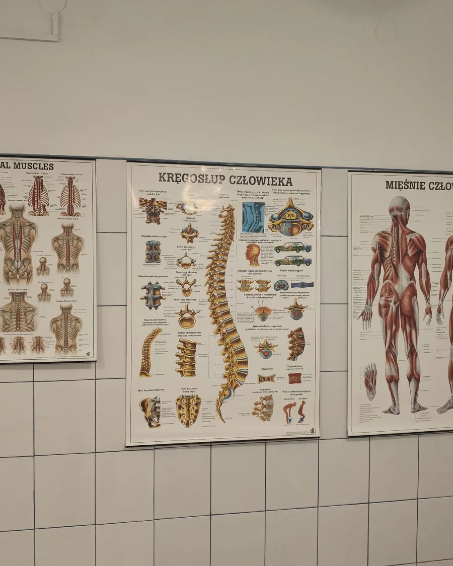 Plansze anatomiczne kręgosłupa i mięśni na ścianie gabinetu